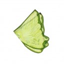 Dreamy vleugels fee groen 